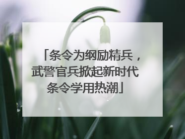 条令为纲励精兵，武警官兵掀起新时代条令学用热潮