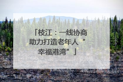 枝江：一线协商助力打造老年人“幸福港湾”