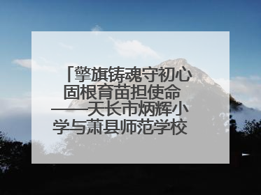 擎旗铸魂守初心 固根育苗担使命——天长市炳辉小学与萧县师范学校附属小学结对共建活动纪实