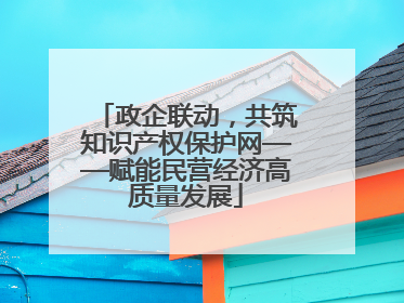 政企联动，共筑知识产权保护网——赋能民营经济高质量发展