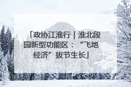 政协江淮行｜淮北段园新型功能区：“飞地经济”拔节生长