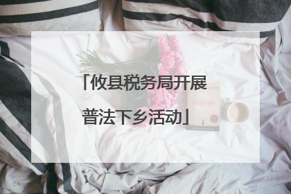攸县税务局开展普法下乡活动