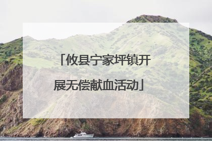 攸县宁家坪镇开展无偿献血活动