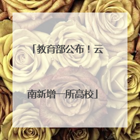 教育部公布！云南新增一所高校