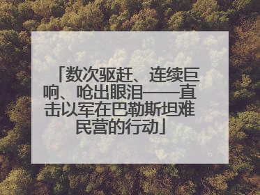 数次驱赶、连续巨响、呛出眼泪——直击以军在巴勒斯坦难民营的行动