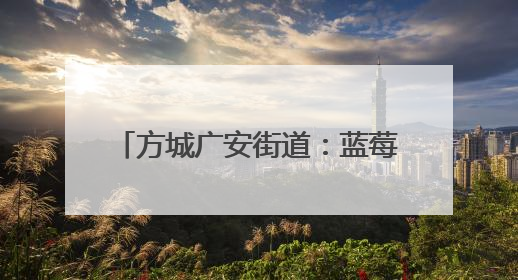 方城广安街道：蓝莓结出 “致富果” 绘就乡村振兴新图景