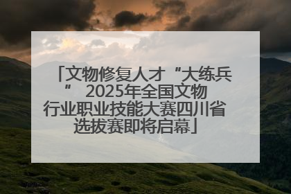 文物修复人才“大练兵” 2025年全国文物行业职业技能大赛四川省选拔赛即将启幕