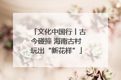 文化中国行丨古今碰撞 海南古村玩出“新花样”