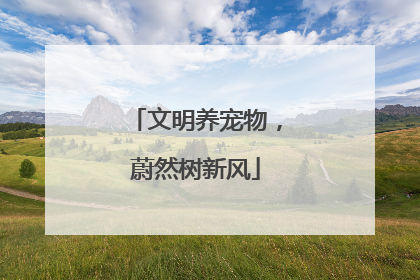 文明养宠物,蔚然树新风
