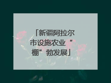 新疆阿拉尔市设施农业“棚”勃发展