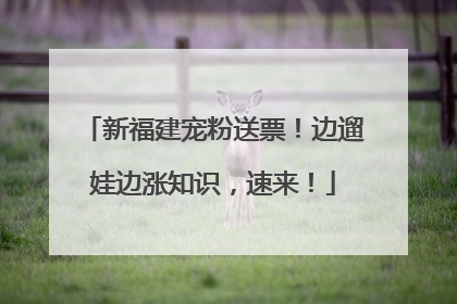 新福建宠粉送票！边遛娃边涨知识，速来！