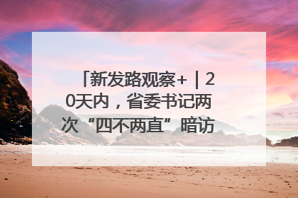 新发路观察+｜20天内，省委书记两次“四不两直”暗访，有何深意？