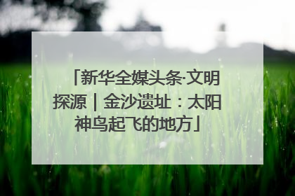 新华全媒头条·文明探源｜金沙遗址：太阳神鸟起飞的地方