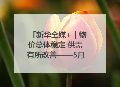 新华全媒+｜物价总体稳定 供需有所改善——5月份物价数据透视