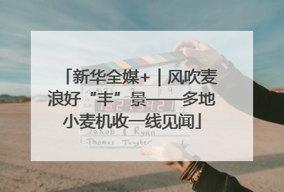 新华全媒+｜风吹麦浪好“丰”景——多地小麦机收一线见闻