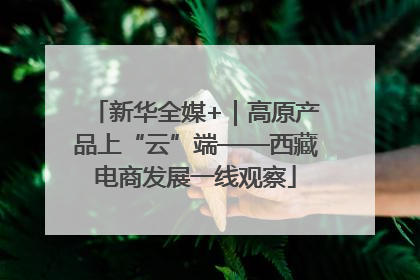 新华全媒+｜高原产品上“云”端——西藏电商发展一线观察