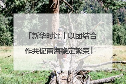 新华时评丨以团结合作共促南海稳定繁荣