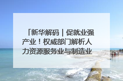 新华解码｜促就业强产业！权威部门解析人力资源服务业与制造业融合发展试点