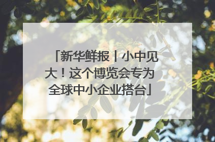 新华鲜报丨小中见大！这个博览会专为全球中小企业搭台