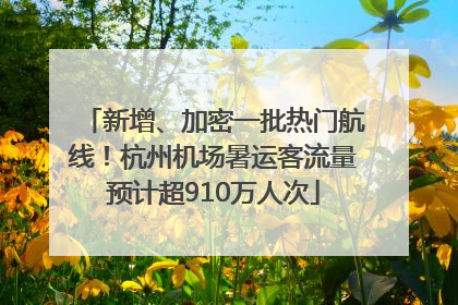 新增、加密一批热门航线！杭州机场暑运客流量预计超910万人次