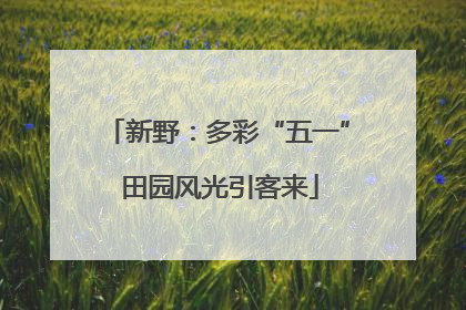 新野：多彩“五一” 田园风光引客来