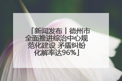 新闻发布丨德州市全面推进综治中心规范化建设 矛盾纠纷化解率达96%