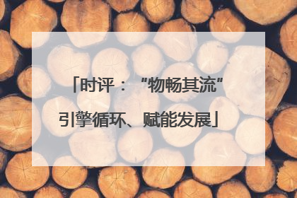 时评：“物畅其流”引擎循环、赋能发展