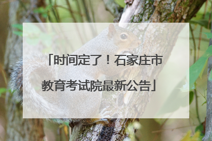 时间定了！石家庄市教育考试院最新公告