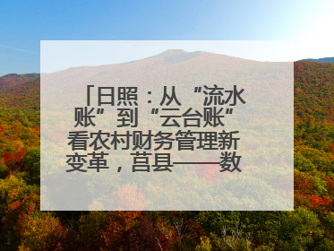 日照：从“流水账”到“云台账”看农村财务管理新变革，莒县——数字赋能激活乡村振兴“一池春水”
