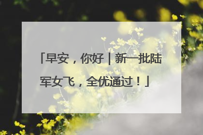 早安，你好｜新一批陆军女飞，全优通过！