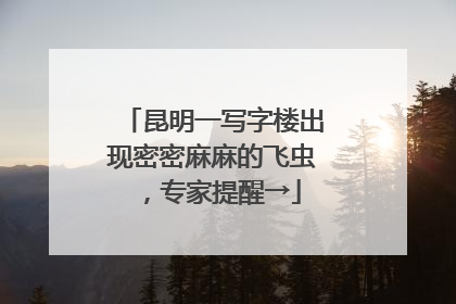 昆明一写字楼出现密密麻麻的飞虫，专家提醒→