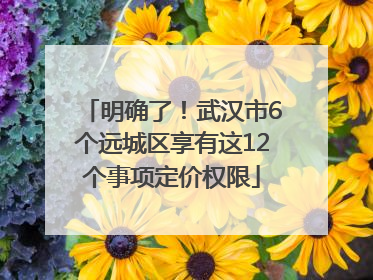 明确了！武汉市6个远城区享有这12个事项定价权限