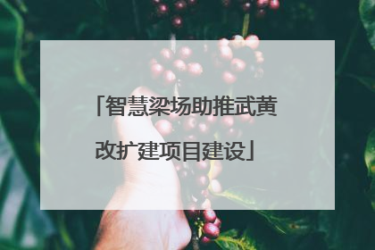 智慧梁场助推武黄改扩建项目建设
