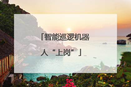 智能巡逻机器人“上岗”