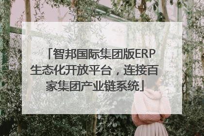 智邦国际集团版ERP生态化开放平台，连接百家集团产业链系统