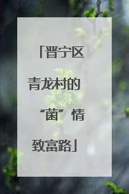 晋宁区青龙村的“菌”情致富路