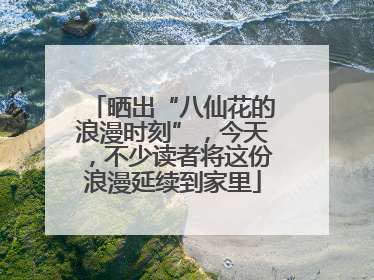 晒出“八仙花的浪漫时刻”，今天，不少读者将这份浪漫延续到家里