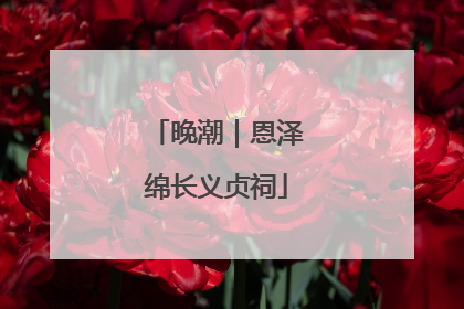 晚潮｜恩泽绵长义贞祠