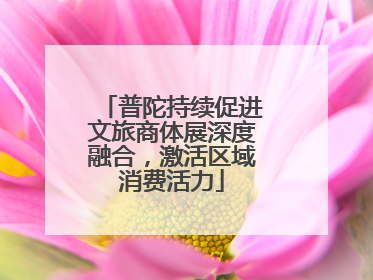 普陀持续促进文旅商体展深度融合，激活区域消费活力