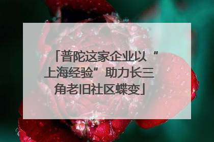 普陀这家企业以“上海经验”助力长三角老旧社区蝶变