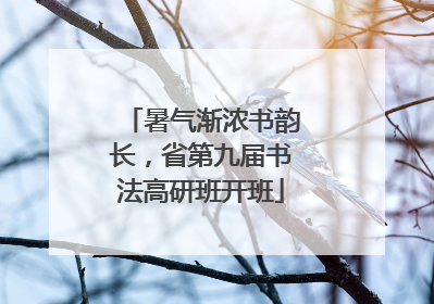 暑气渐浓书韵长，省第九届书法高研班开班