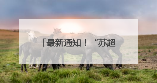 最新通知！“苏超”竞赛日程调整，南京队比赛有变！