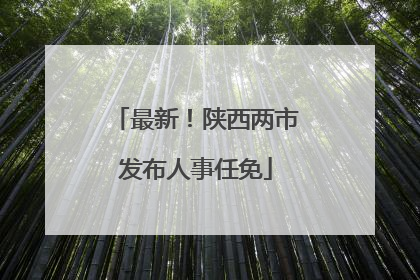 最新！陕西两市发布人事任免