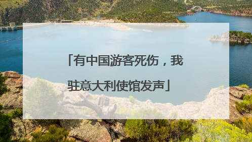 有中国游客死伤，我驻意大利使馆发声