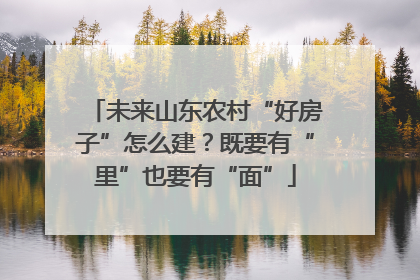 未来山东农村“好房子”怎么建？既要有“里”也要有“面”