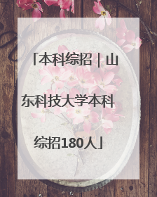 本科综招｜山东科技大学本科综招180人