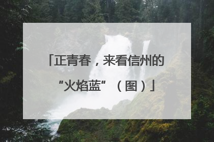 正青春，来看信州的“火焰蓝”（图）