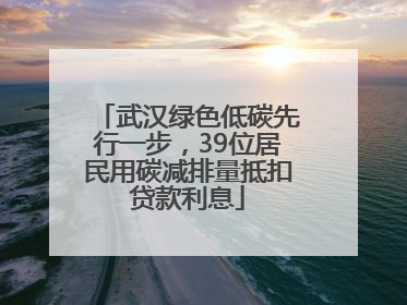 武汉绿色低碳先行一步，39位居民用碳减排量抵扣贷款利息