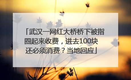 武汉一网红大桥桥下被指圈起来收费，进去100块还必须消费？当地回应