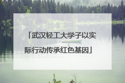 武汉轻工大学子以实际行动传承红色基因